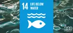 SDG 14 Life Below Water - Find out about the international treaties and legal regimes behind this sustainable development goal.