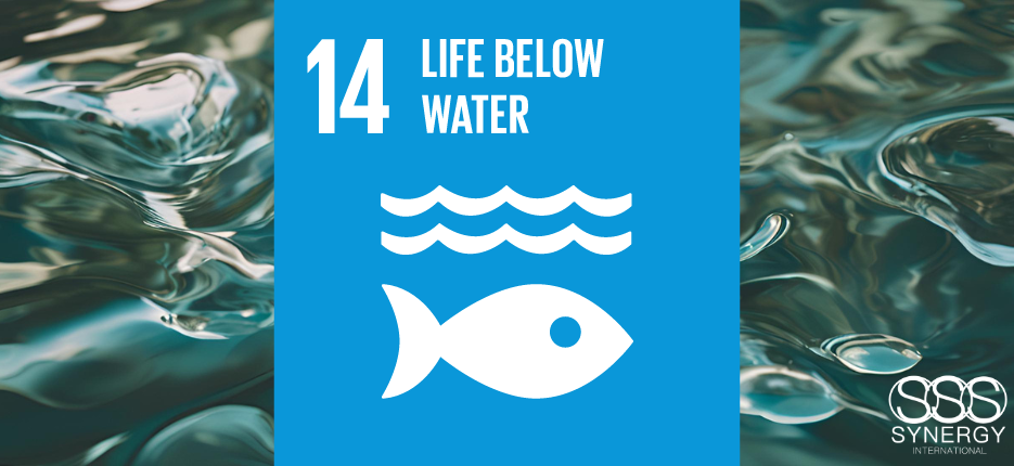 SDG 14 Life Below Water - Find out about the international treaties and legal regimes behind this sustainable development goal.