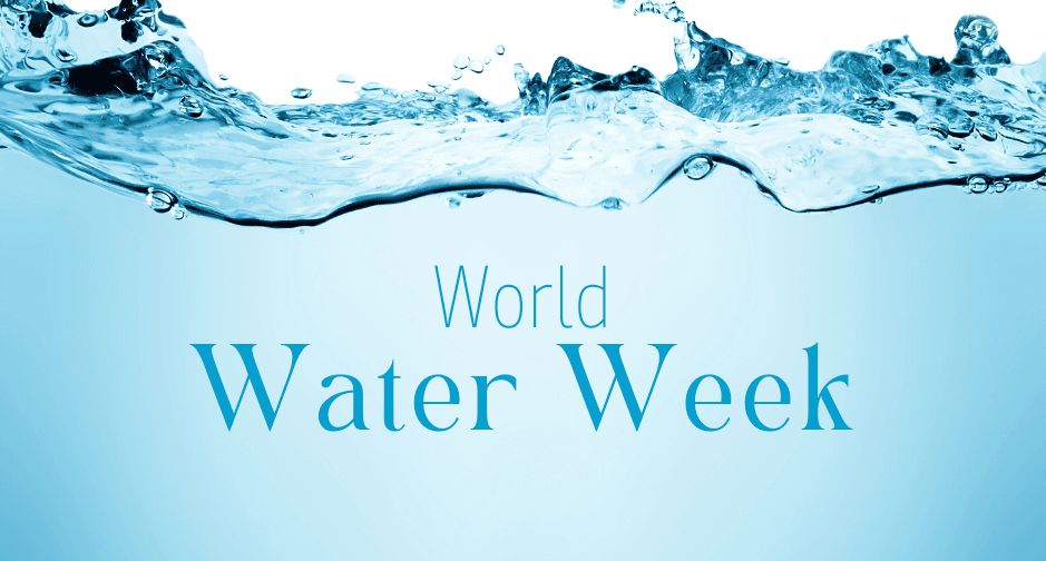 world water week